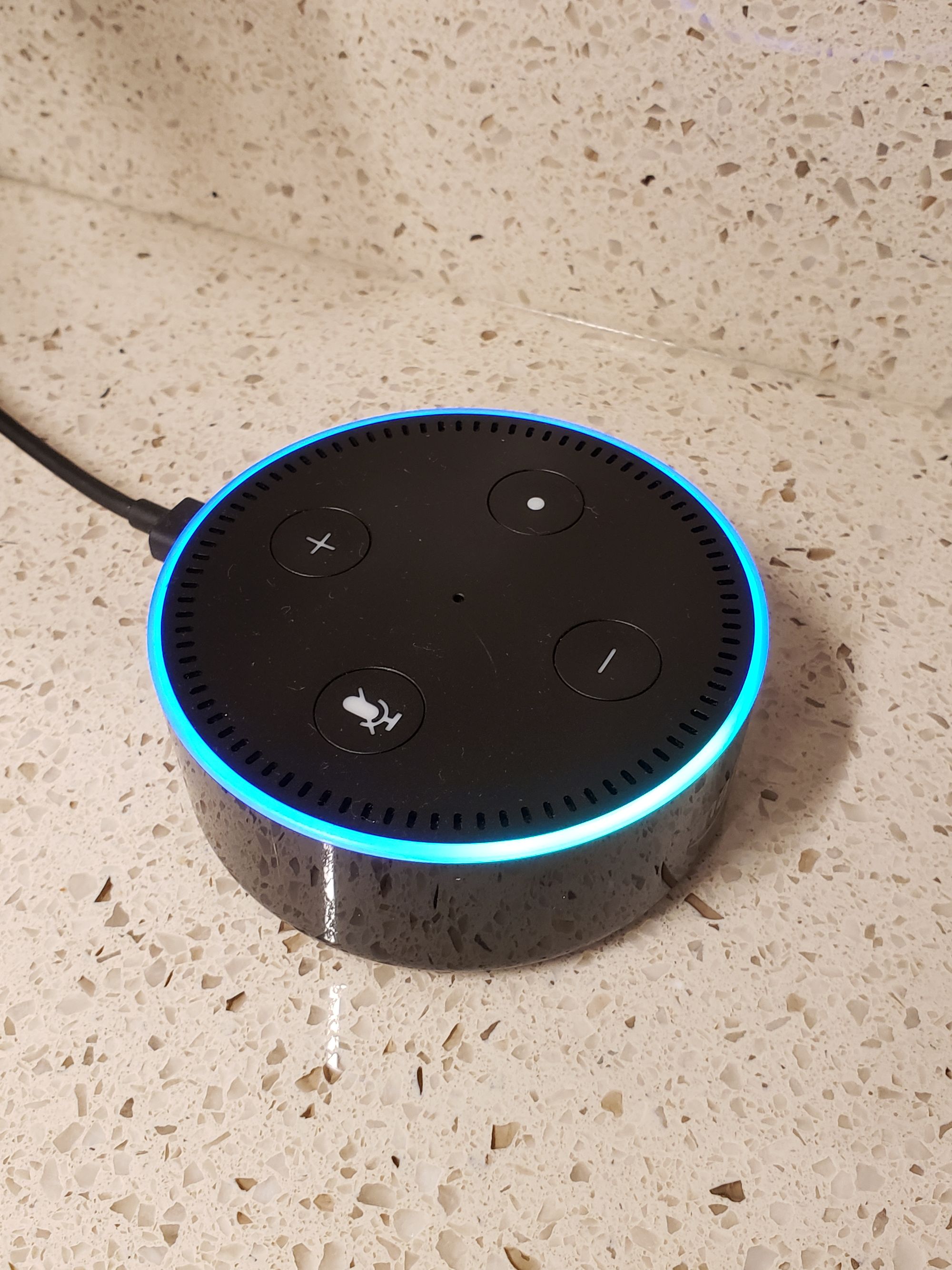 Alexa Voice Commands to Control Home Assistant