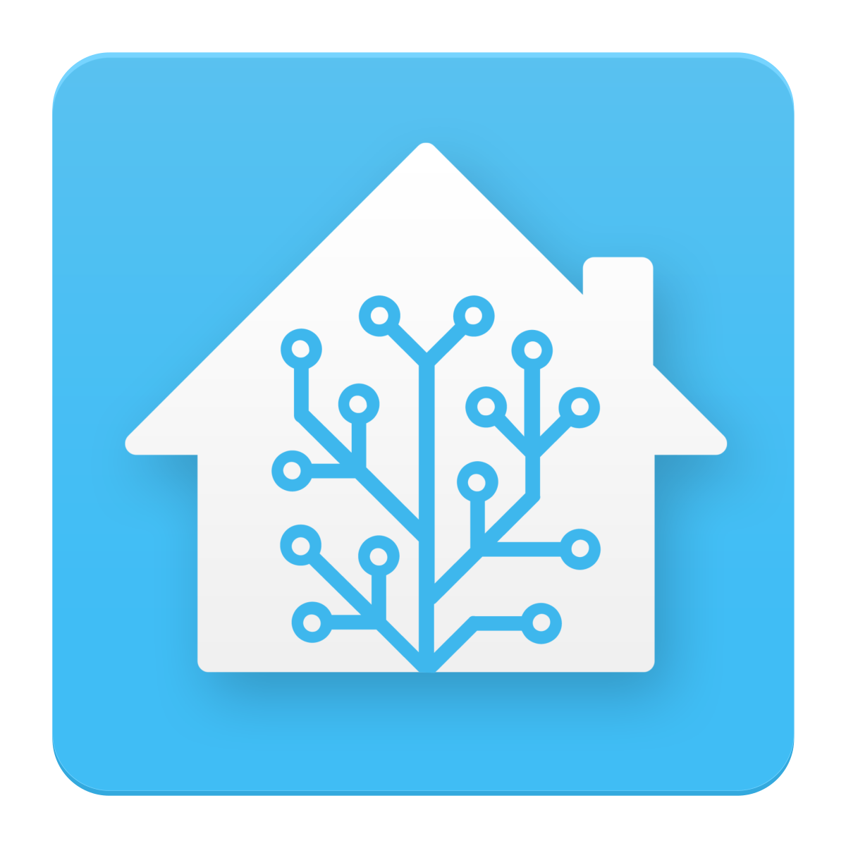 Home Assistant + Nginx: Unencrypted Local Traffic