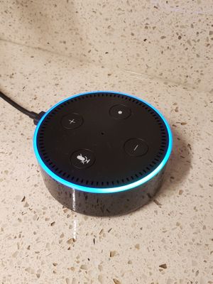 Alexa Voice Commands to Control Home Assistant